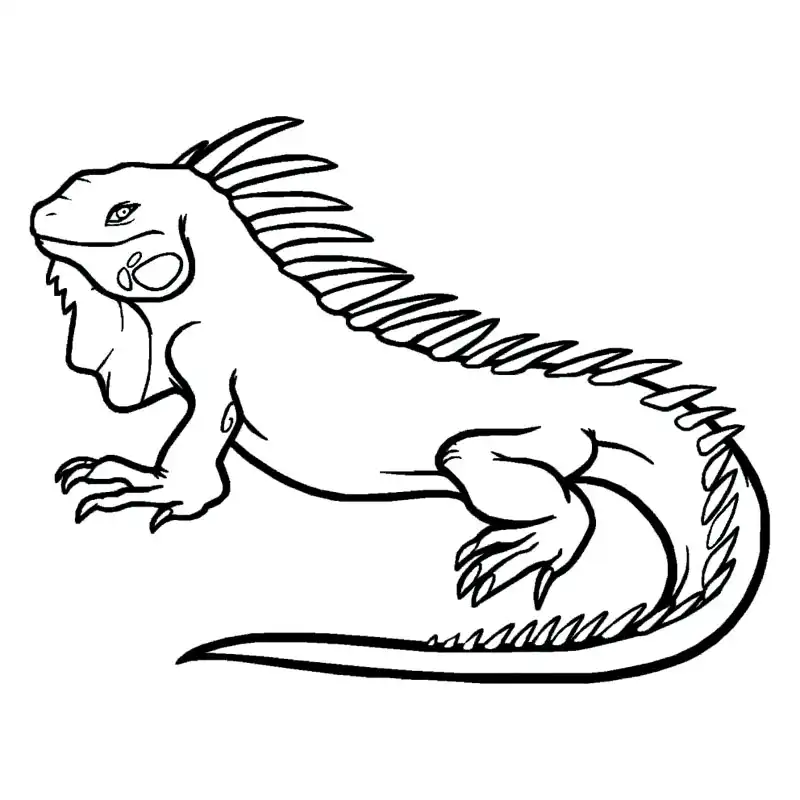 24*18.5CM Iguana Iucertola Vivid Car Styling Decal Vinyl Wild animal