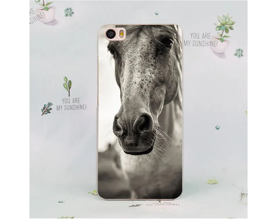 C-(4)