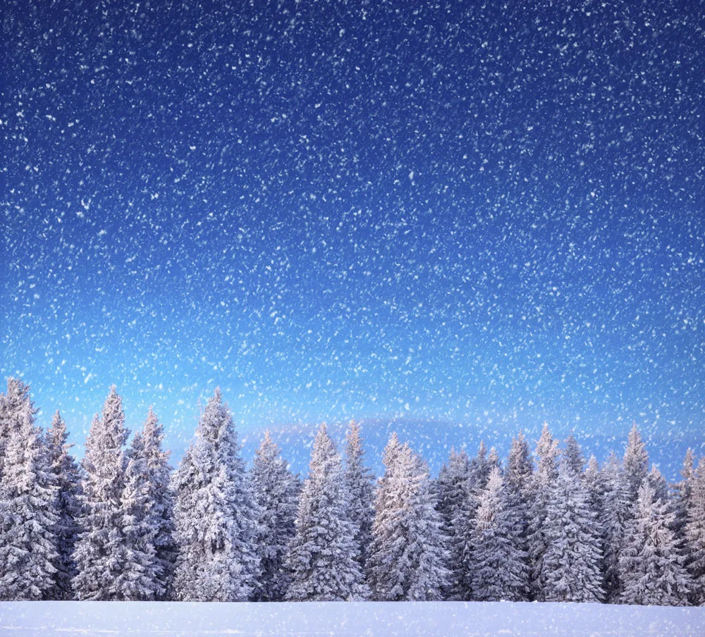 

10x10ft Snow Vinyl Backdrops Props for Photography  Photo Studio  Background TSN-14