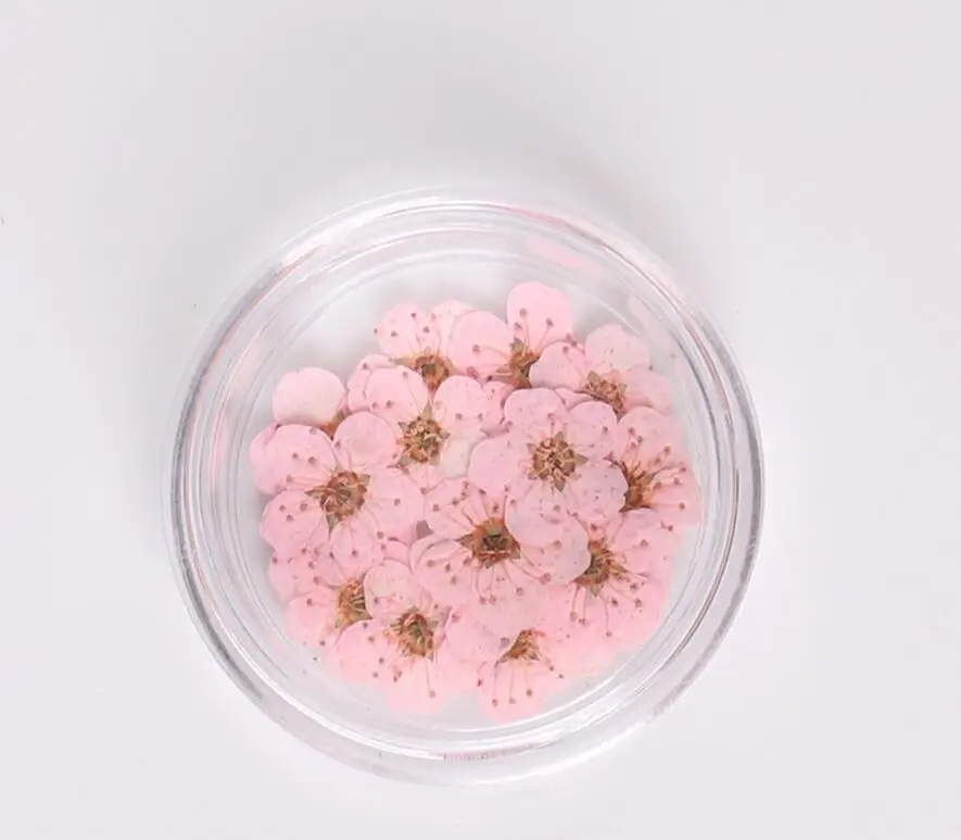 100 шт прессованный высушенный цветок нарцисса сливы с коробкой для изготовления ювелирных изделий из эпоксидной смолы для дизайна ногтей Аксессуары для рукоделия - Цвет: Светло-розовый