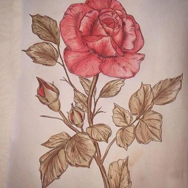 Lukisan Bunga Dengan Pensil Terbaru