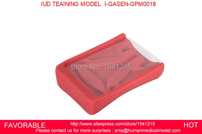 

IUD TRAINING SIMULATOR, INTRAUTERINE CONTRACEPTIVE DEVICE TRAINING MODEL, IUD MODEL, BIRTH CONTROL MODEL-GASEN-GPM0018