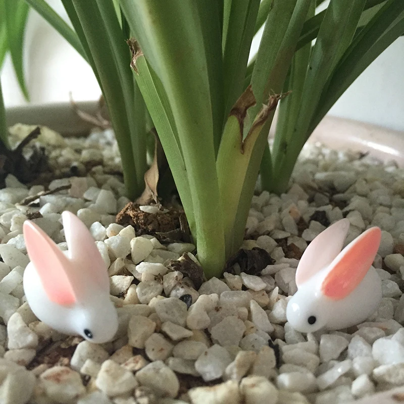 Бриофит микро пейзаж мясистые растения цветной кролик с большими ушами умный кролик Diy украшения домашний декор миниатюрный садовый декор