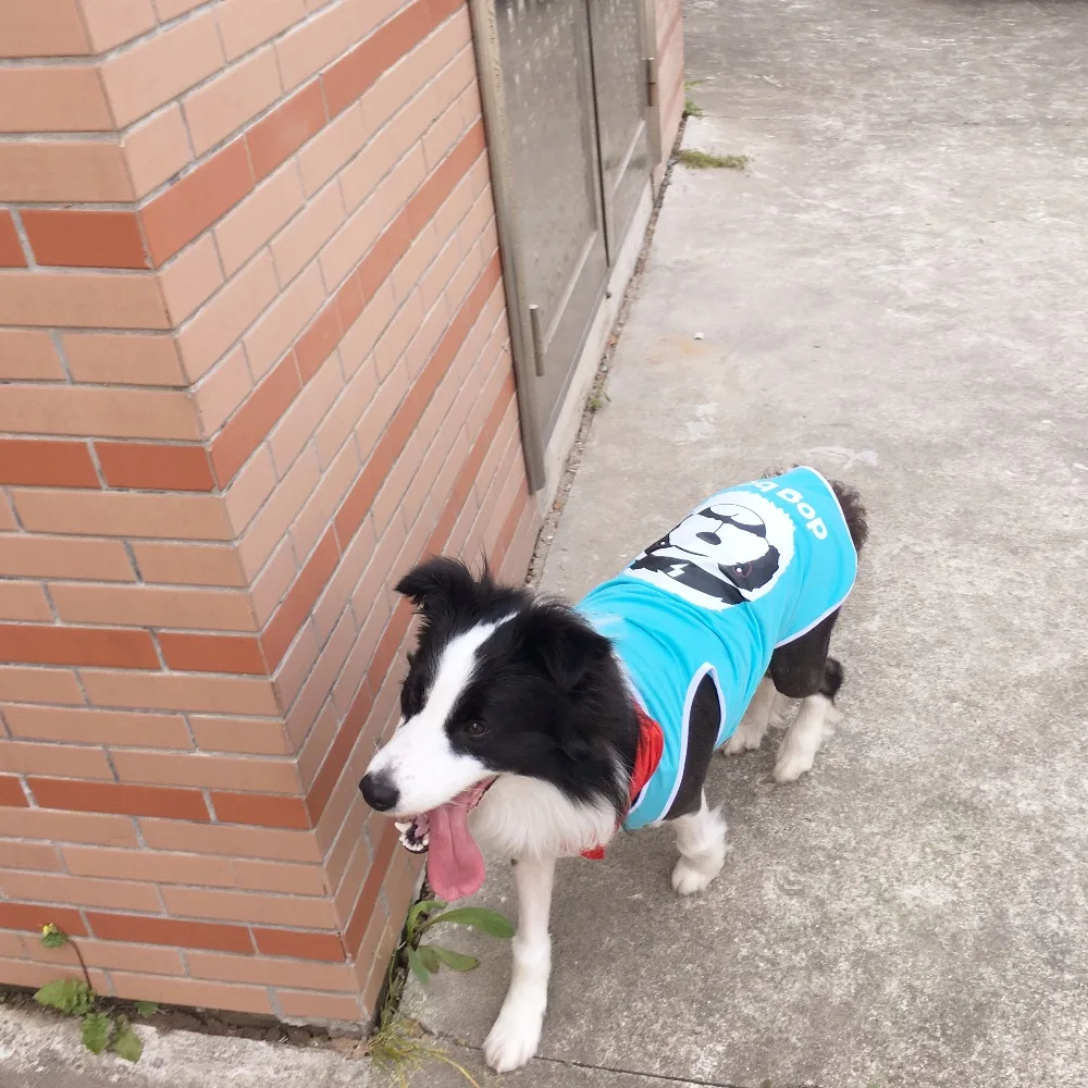 Y71_New_3XL_9XL_Plus_Size_Spring_Summer_Pet_Large_Dog_Vest_Clothes_Bear_T_Shirts_for_Big_Dog_Costume_Apparel_Sportswear_ (6)