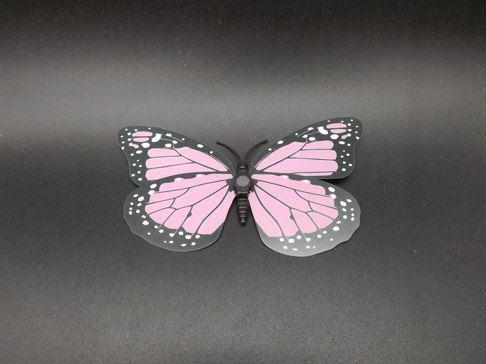 I242-Butterfly (8)