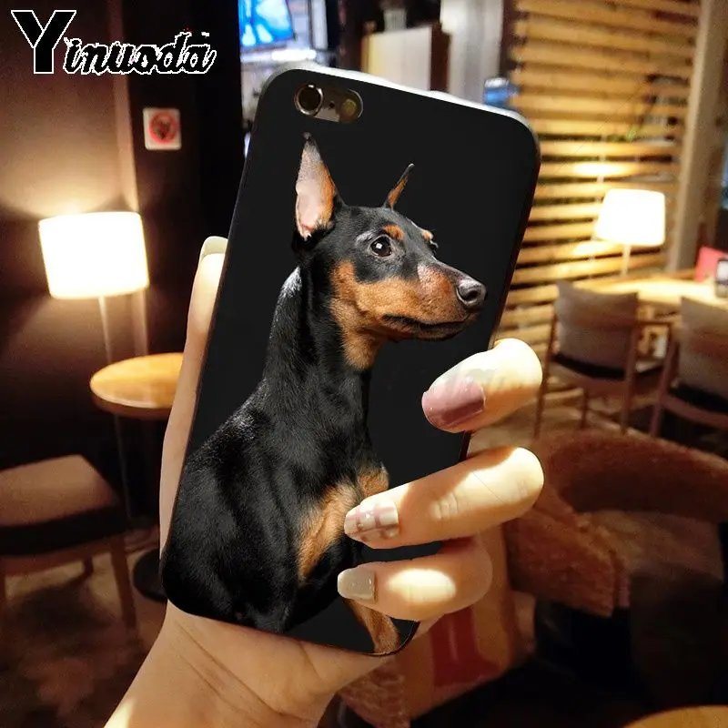 Dachshund Silhouette Dog