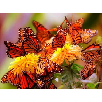 

YIKEE diamond painting Butterfly,embroidery rhinestones,dimond painting Y1161