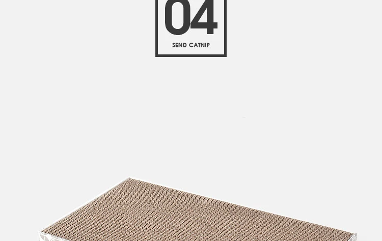 9342967834_1719249636