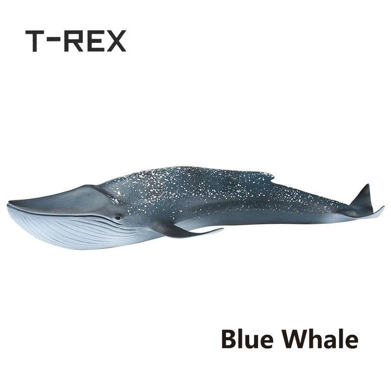 

T-REX 27 CM PVC Sea Life Blue Whale Simulation Animal Model Marine Life Figure Toys Gifts for Kids Man VS Shark Figure