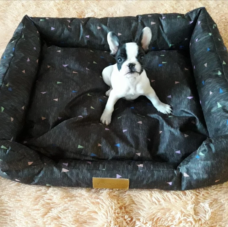 Dog Bed PY0190-5