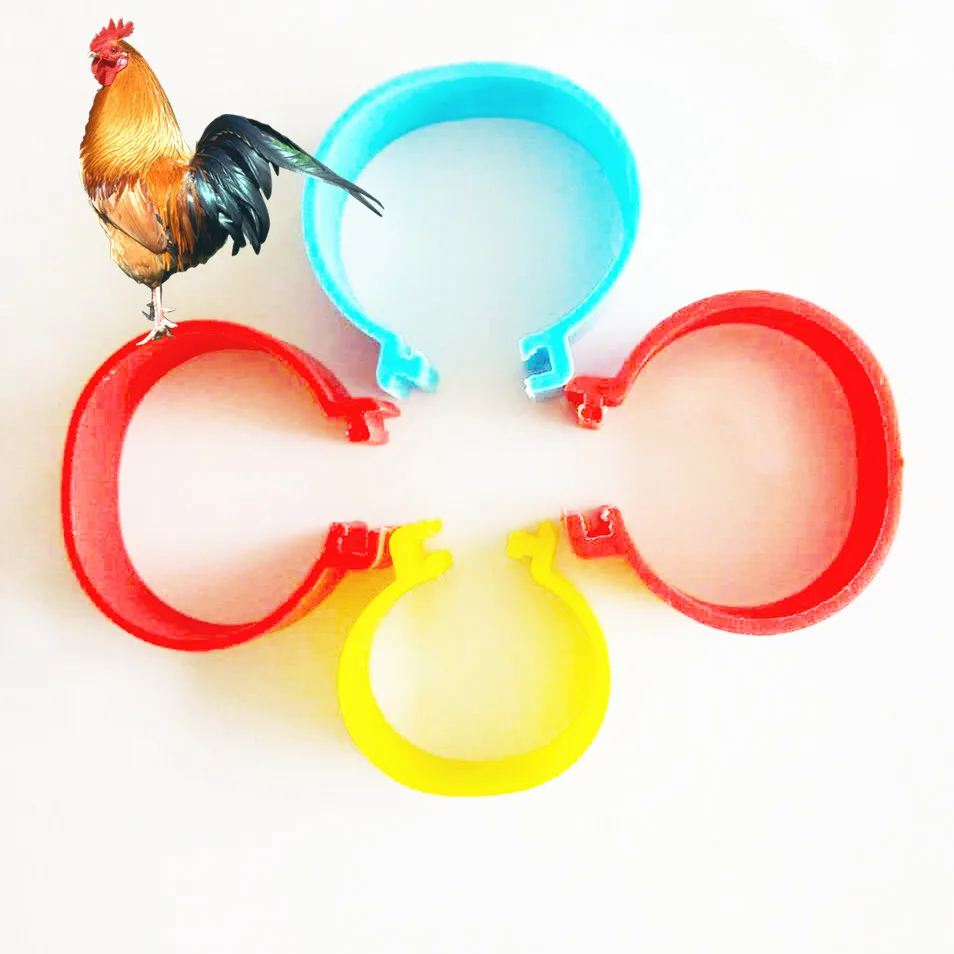 21new Harga Pabrik Plastik Kaki Ayam Angsa Cincin Lingkaran Kaki Bebek Cincin Untuk Ayam 16mm mm Ukuran Kaki Ayam Band Pembawa Aliexpress