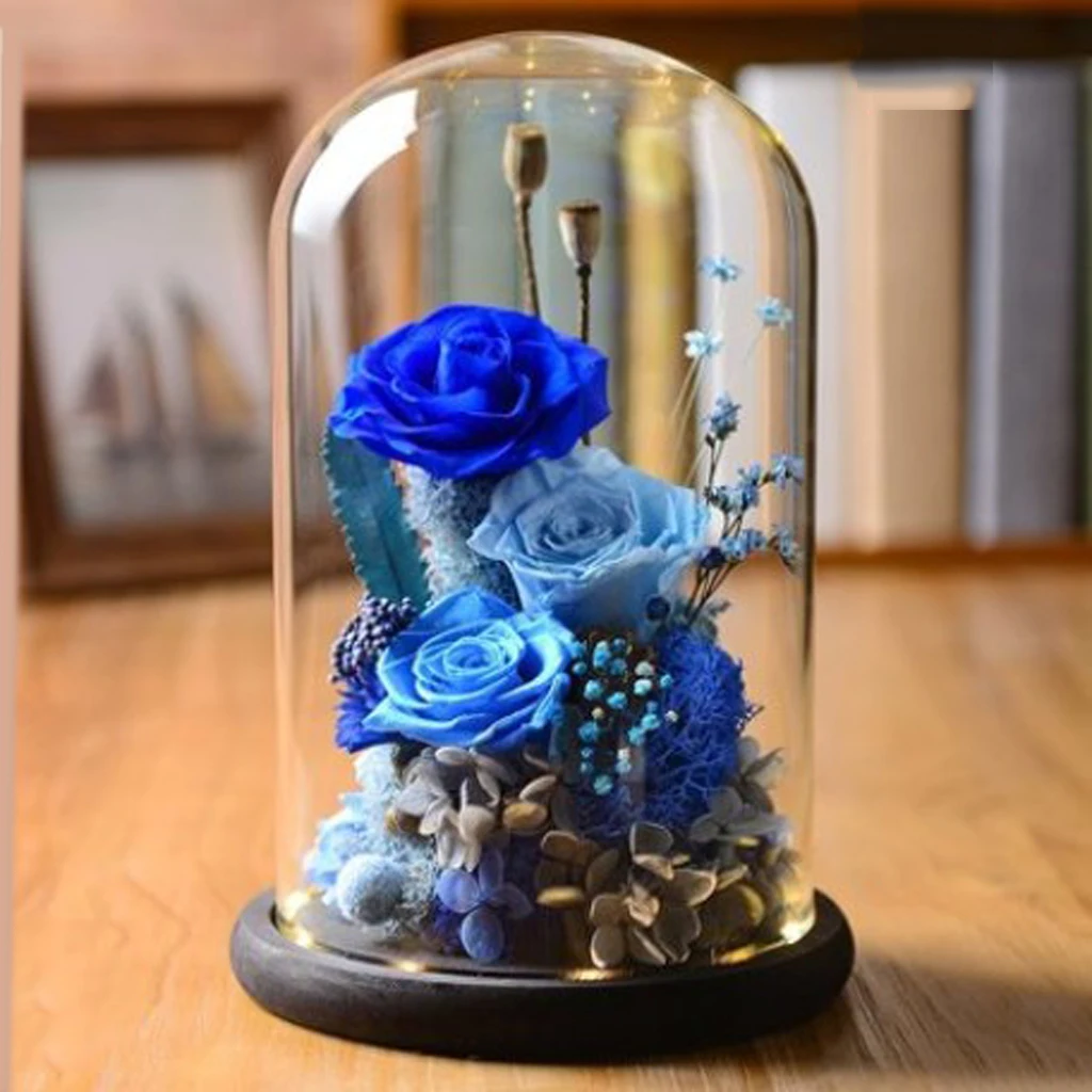 Premium Clear Glass Cover Landscape Vase Terrarium Flower Container Dome Xmas Wedding Party Home Decoration