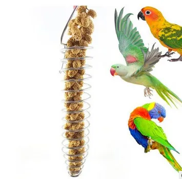 Hewan Peliharaan Burung Baja Rusty Burung Beo Burung Makanan
