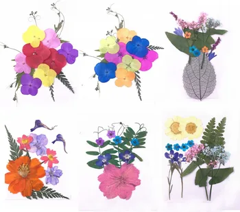 

Mixed Pressed Dried Leaf Leaves+Flowers Plants Herbarium For Jewelry Phone Case Postcard Scrapbook Craft DIY Accessories HSWL