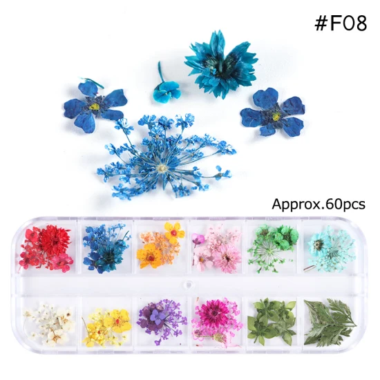 Сухоцветы лист ногтей украшения натуральный наклейка в виде цветка 3D сухой для маникюра ногтей наклейки ювелирные изделия УФ Гель-лак Маникюр TRFL-1 - Цвет: F08