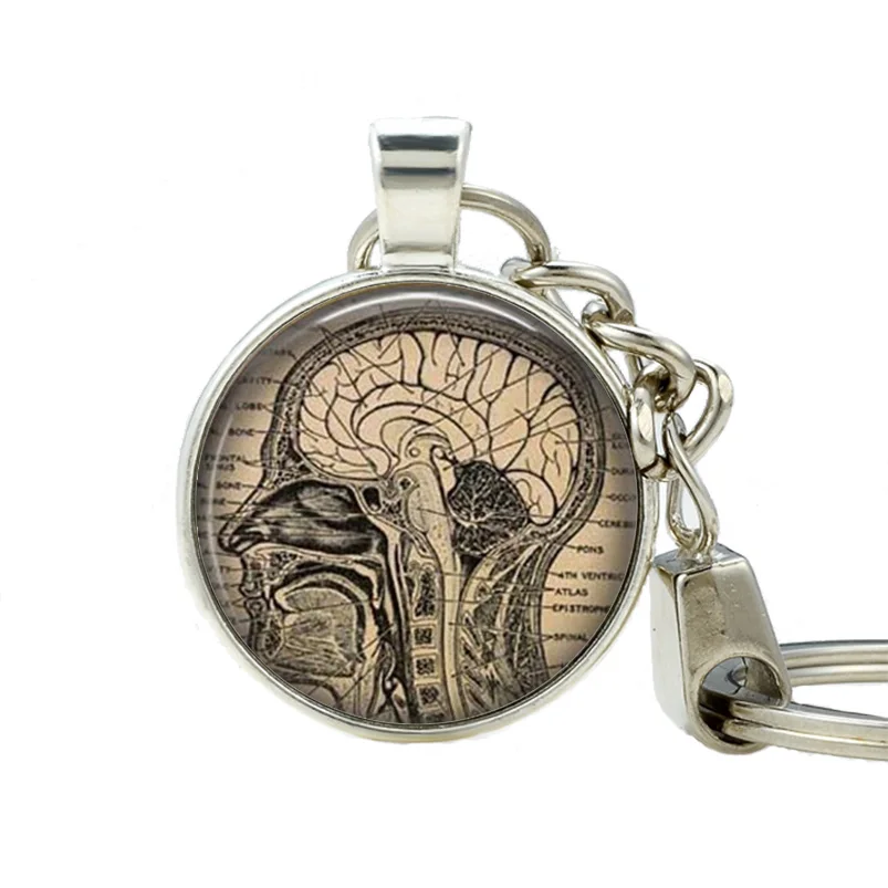 Anatomical Heart Key chain Human Brain Anatomy Keychain for Keys Double