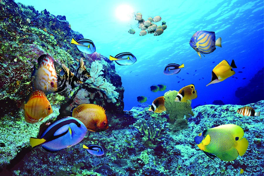 9989214_120733329323_2