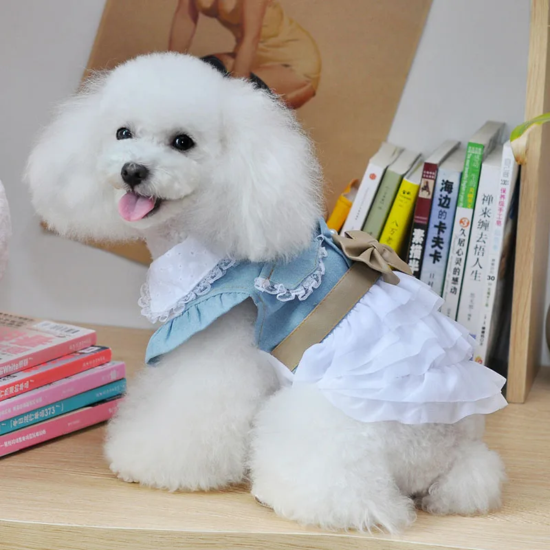 Pet Puppy джинсовая юбка милый костюм собаки Puppy Одежда для собак сладкий кружева принцесса платье-пачка для маленьких собак и кошек размеры s m l xl XXL
