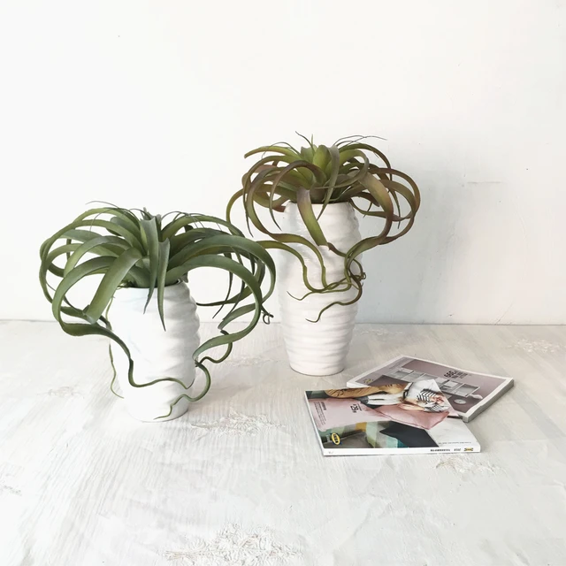 Faux Oversized Air Plant