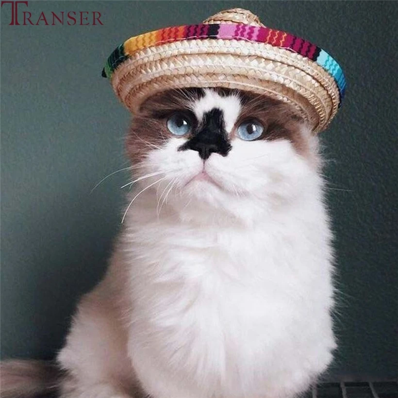 Transer Pet Supply Adjustable Mexican Sombrero Cat Straw Hat Sun Hat
