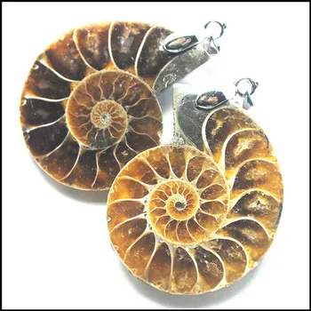 

2pc Natural Ammonite Fossile Specimen Shell conch Nautilus Pompiplius Ocean jasperr Fish Tank Stones Healing 21mm--25mm