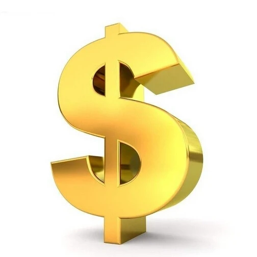 

payment link
