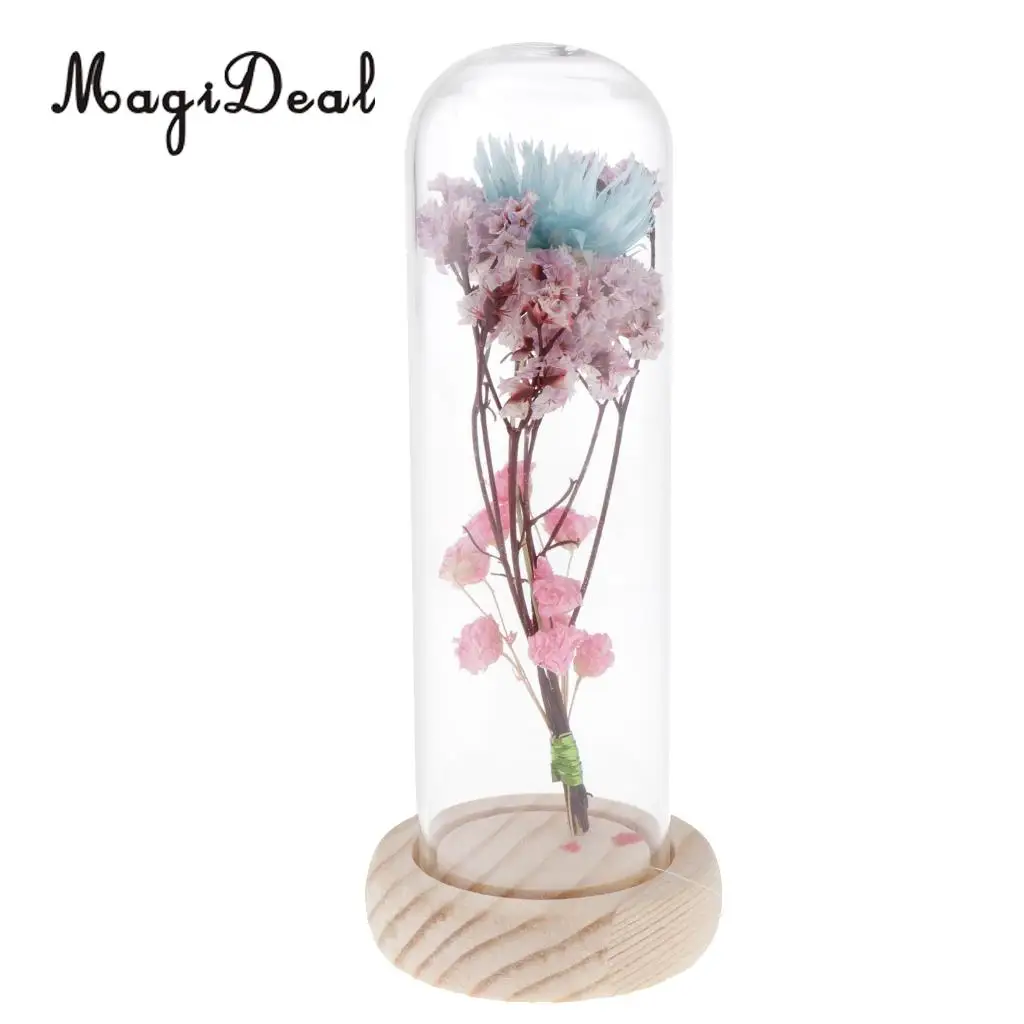 Clear Glass Display Cloche Bell Jar Dried Immortal Flower Preservation Vase Wooden Base Cafe Bar Countertop Decor Ornament