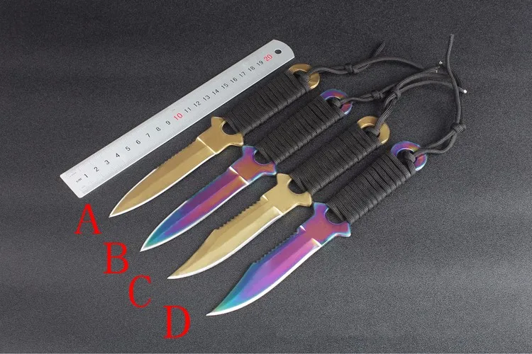 2938906431_731435421