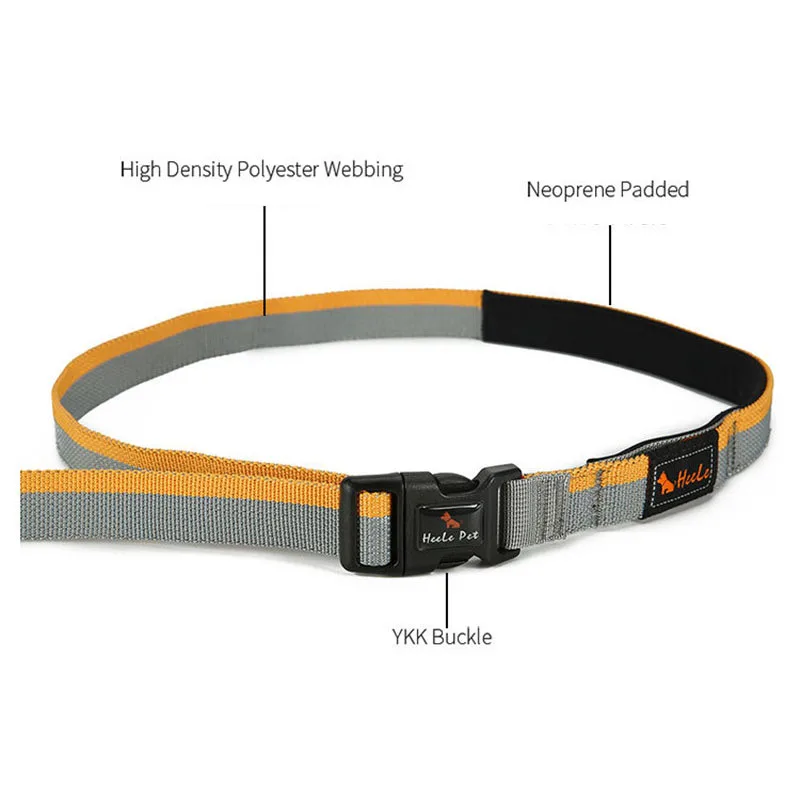 hands free dog leash (2)
