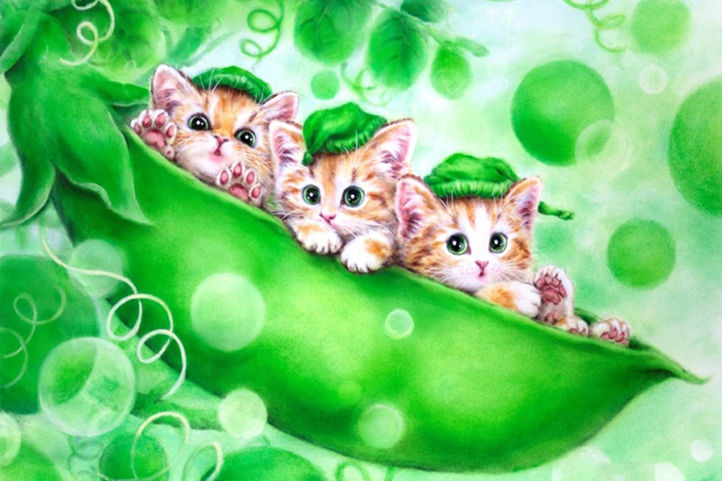 Праздником петра, котики открытки милые