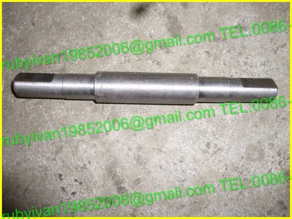 P1050053(1)