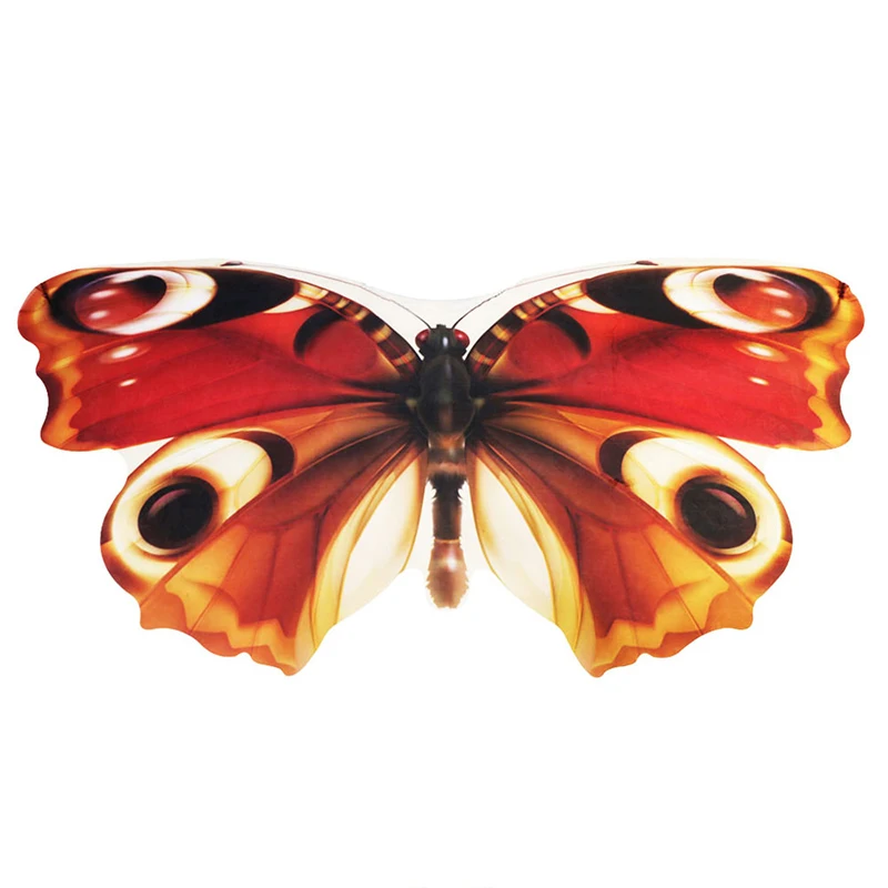 

SPECIAL Fairy Girls Butterfly Wings Summer Outside Kite Wing Travel Gifts Girl Costume For Halloween Animal Cosplay