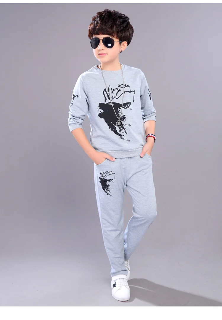 4-14 y children boys clothes kids boy set wolf print long sleeve sport sets for boys spring autumn clothing On Sales (6)