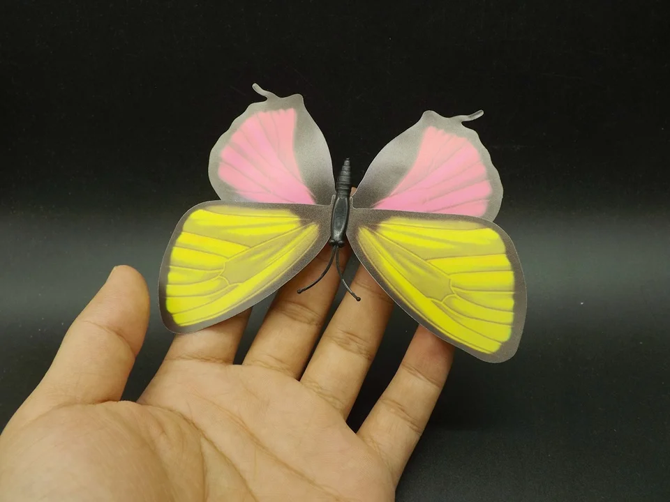I236-Butterfly (3)