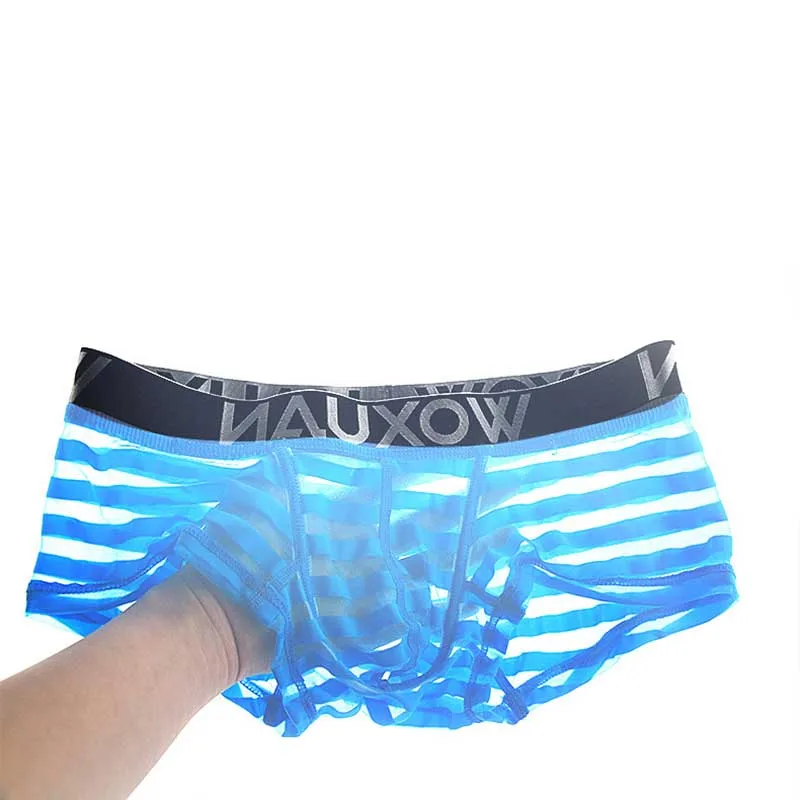 Sheer Underwear Men Boxer Briefs