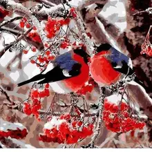 5933 влюбленных птиц-краски комплекты номеров для взрослых DIY