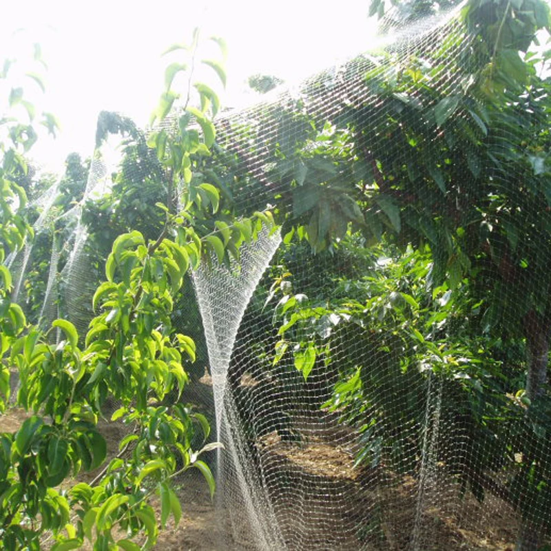 WHISM Anti Bird Net Plastic Pond Fruit Tree Vegetable Netting Protection Crops Protect Garden Mesh Pest Control Catch Bird Trap