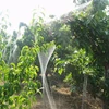 Garden Supplies