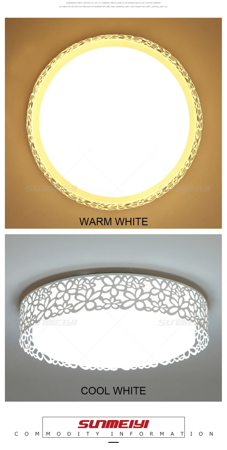 Ceiling Lights04