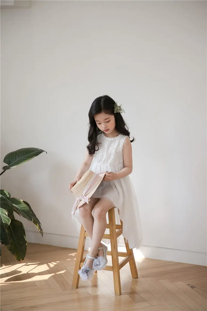 

Retail Lace Embroidery Princess Baby Girls Dress Summer Wedding Party Kids Dresses For Girls Wholesale baby girl clothes #6360