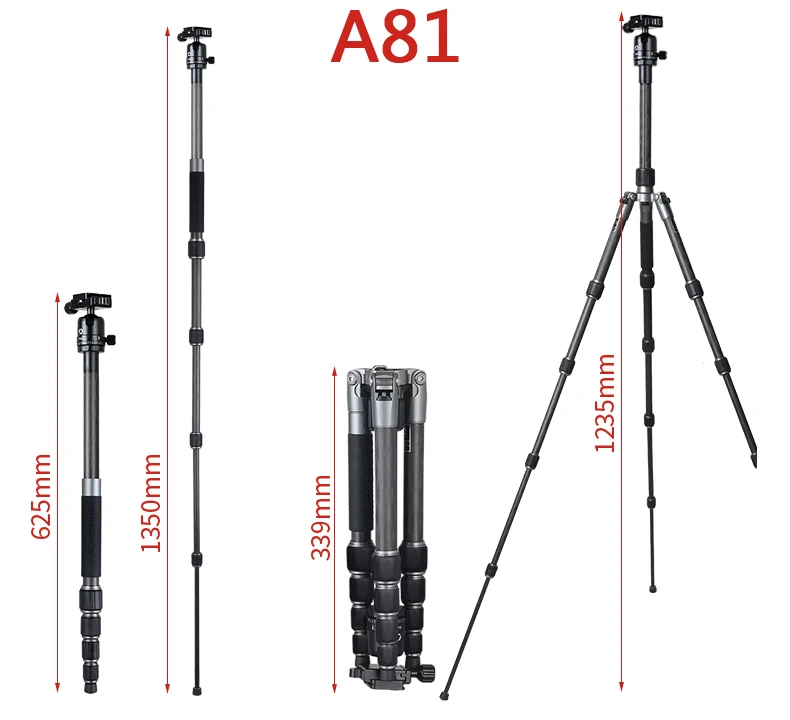 A61-A81+T11_27.1