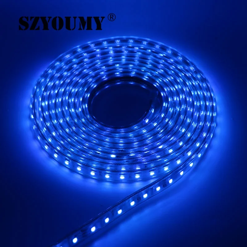 SZYOUMY 220 V Светодиодные ленты 5050 50 м 100 IP67 Водонепроницаемый RGB/белый Цвет веревка для наружного освещения с Мощность контроллер - Испускаемый цвет: Синий