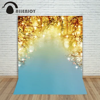 

Allenjoy photography background winter bokeh light spot backdrop photography 8x12FT Excluding bracket