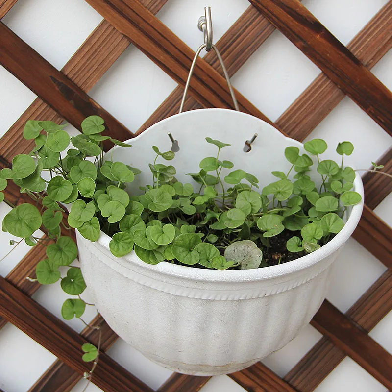 Wall Hanging Flower Pots popular wall hanging pot plants-buy cheap wall hanging pot plants Wall Hanging Flower Pots popular wall hanging pot plants-buy cheap wall hanging pot plants