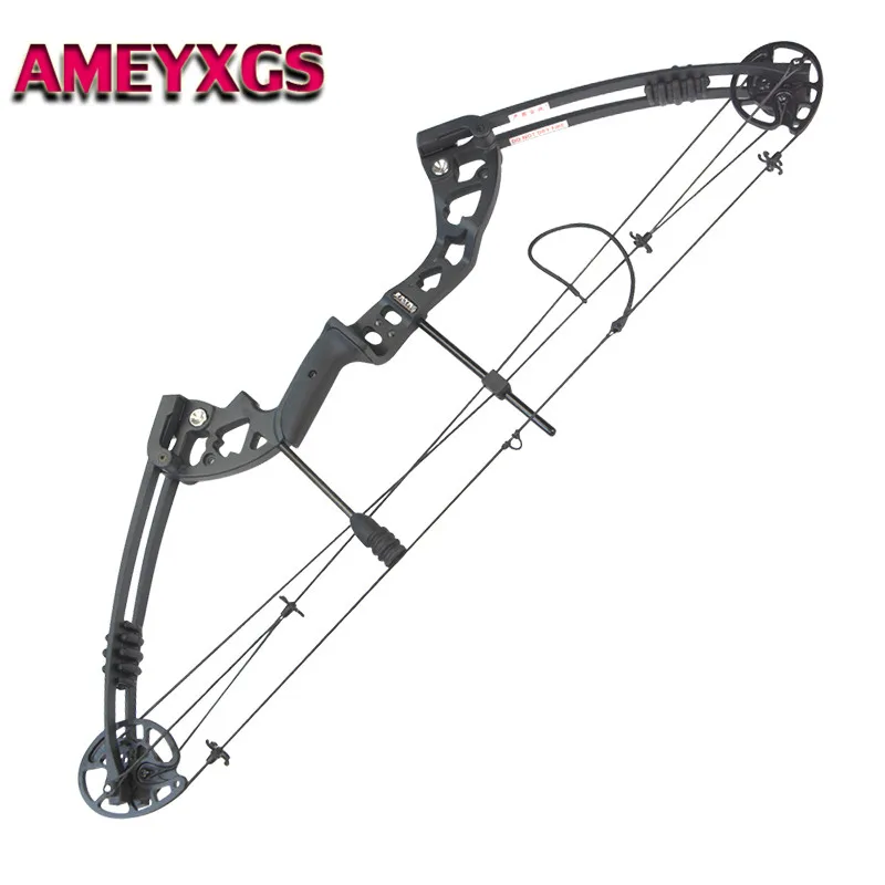 38 "30-55lbs стрельба из лука соединение лук Сплав Регулируемый Открытый целевой Спорт стрельба Охота обучение 310FPS соединение охота лук