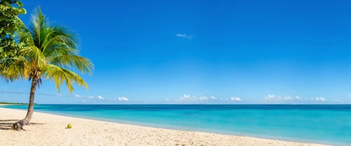 Image result for beach