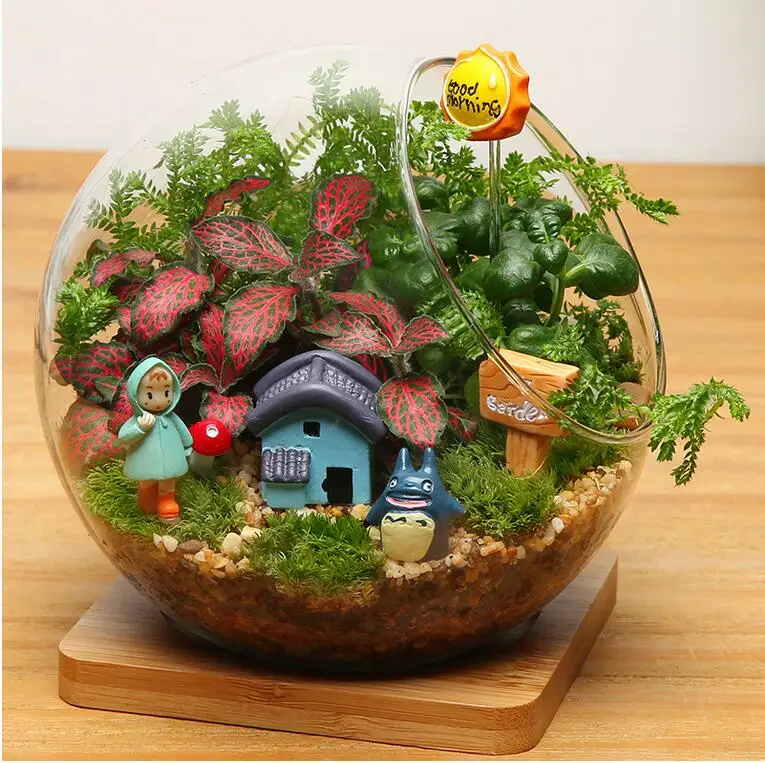 Online Buy Wholesale plant terrarium from China plant