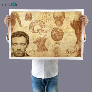 

Dr. Gregory House Anatomy Drawings Wall Art Picture Canvas Painting Poster Print Body Map Picture for Medical Education NO Frame