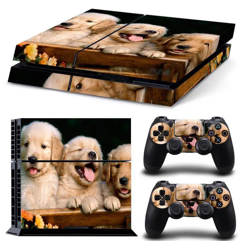 TN-PS4-0058