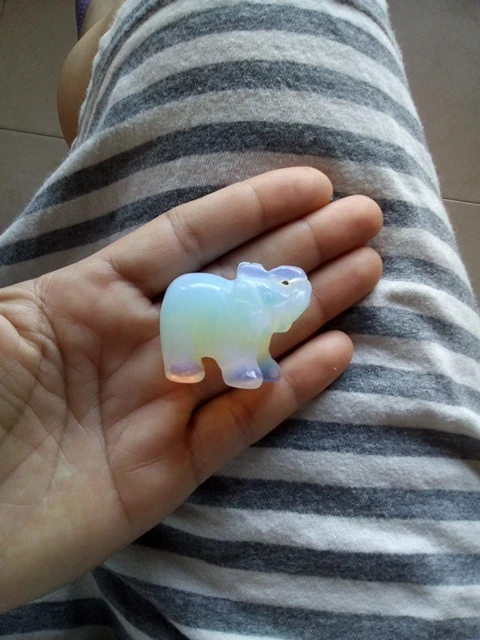 elephant 1